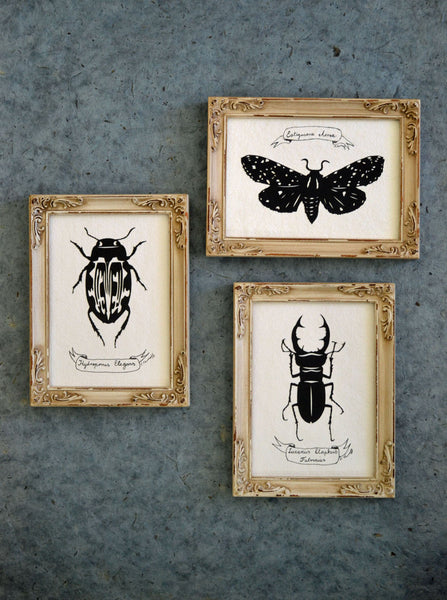 GIANT STAG BEETLE Papercut - Hand-Cut Silhouette, Framed