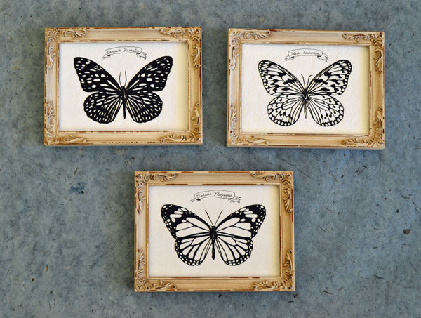 TIGER BUTTERFLY Papercut - Hand-Cut Silhouette, Framed