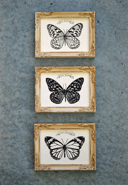 TIGER BUTTERFLY Papercut - Hand-Cut Silhouette, Framed