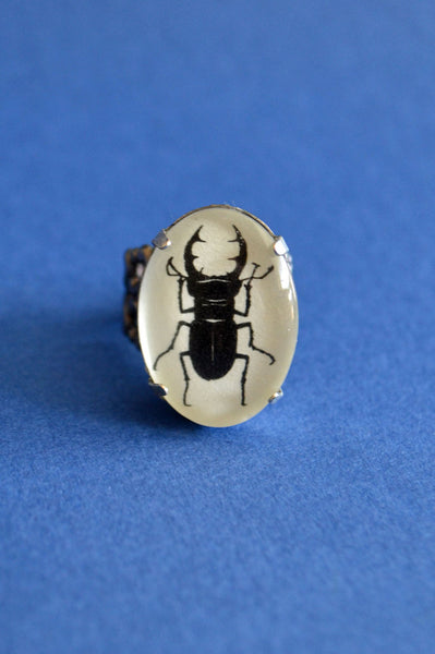 STAG BEETLE Ring - Silhouette Jewelry