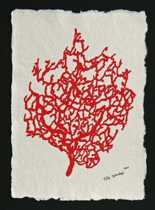 Fan Coral - Hand-Cut Papercut