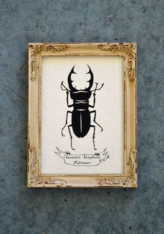 GIANT STAG BEETLE Papercut - Hand-Cut Silhouette, Framed