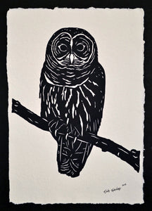 OWL Papercut - Hand-Cut Silhouette