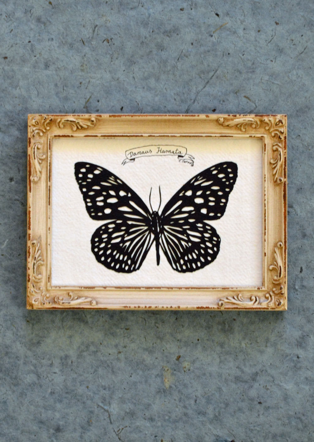 TIGER BUTTERFLY Papercut - Hand-Cut Silhouette, Framed